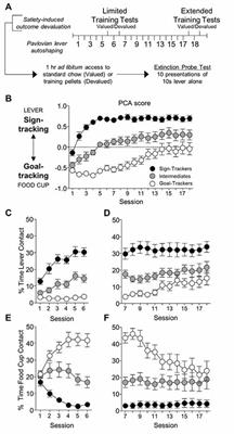 Effects of Limited and Extended Pavlovian Training on Devaluation Sensitivity of Sign- and Goal-Tracking Rats